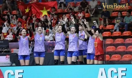 Khi nào nên dừng khi chơi sảnh cá
